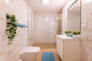 下乌斯奇基Villa Kasztelan的浴室配有白色卫生间和盥洗盆。