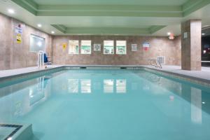 怀里卡易雷卡沙斯塔区快捷假日酒店的大楼内的一个蓝色海水游泳池
