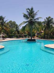 萨利波图尔Villa Type Africaine的一座棕榈树的大型游泳池