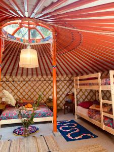 格罗宁根Eco-Camping De Helleborus, Yurt, Bell & Safari tent, Pipo, Caravans, Dorms and Units的蒙古包内带两张双层床的客房