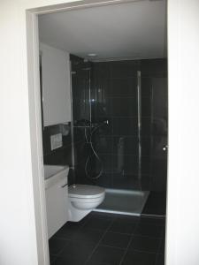 安特瓦塞尔Studio Bijou的一间带卫生间和玻璃淋浴间的浴室