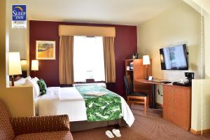 拉斯维加斯大道达马斯司丽普酒店客房内的一张或多张床位