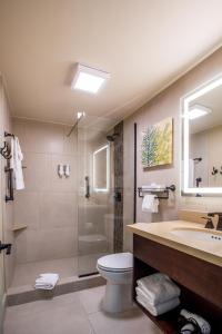 棕榈滩Eagle Aruba Resort的带淋浴、卫生间和盥洗盆的浴室