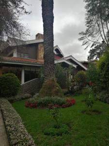 昆卡Casatodosantos的房子的院子中的棕榈树