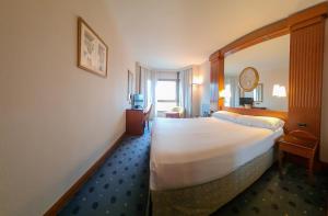 洛格罗尼奥Hotel los Bracos的酒店客房设有一张大床和一台电视。
