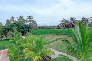 迈索尔Brindavan Garden Resort & Spa的享有棕榈树高尔夫球场的空中景致