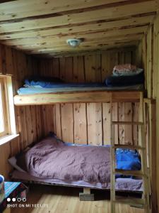 KülitseBeautiful private cabin near Tartu的小屋内带两张双层床的客房