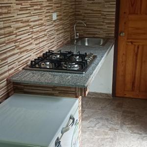 佩达西镇La Casa de Thurys的厨房配有炉灶和水槽