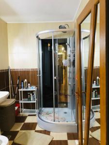 图尔恰3-Room Delta Modern Residence的浴室里设有玻璃门淋浴