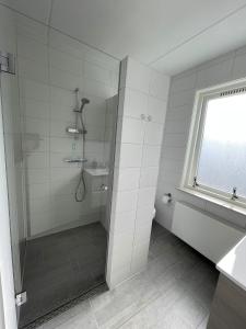 弗劳温普尔德Lise's Place的带淋浴的浴室和玻璃门
