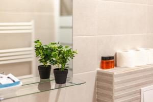 雅西Sunny Studio Apartment的浴室玻璃架上的两株植物