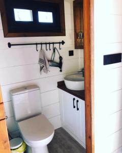 Tiny house kayaköy Nar的一间浴室