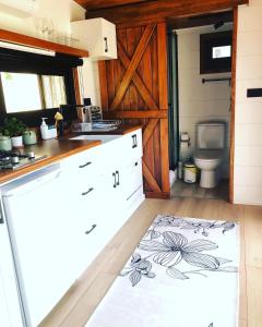 费特希耶Tiny house kayaköy Nar的厨房配有水槽和卫生间