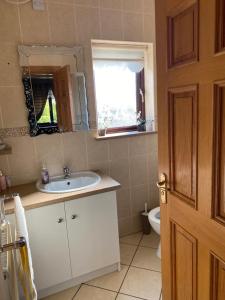 莫纳汉Gallagh Guest House self catering h18r252 Eircode的一间带水槽、镜子和卫生间的浴室