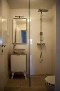 卢布尔雅那Chang Thai apartments的一间带水槽和淋浴的浴室