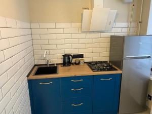 切尔尼戈夫Апартаменты в самом центре города的厨房配有蓝色橱柜、水槽和冰箱。