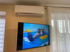切尔尼戈夫Апартаменты в самом центре города的挂在墙上的平面电视