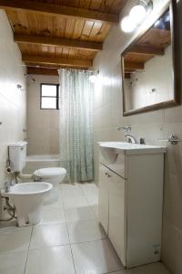 乌斯怀亚Magallanes Home的一间带卫生间、水槽和镜子的浴室