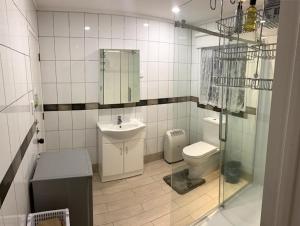 汉密尔顿Self Contained En-Suite Private Bathroom, Private Entrance, Close to Shops & Hospital Homestay的一间带卫生间和水槽的浴室