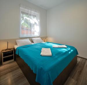 鲍洛托努德沃里Fövenyes House的一间卧室配有一张蓝色的床和窗户