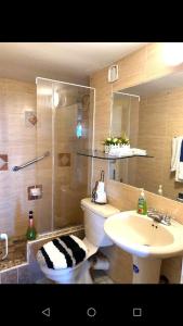 欧丘里欧特特尔海滩塔楼海滨公寓的带淋浴、卫生间和盥洗盆的浴室