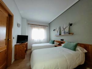 Villaciervos小鹿旅馆的酒店客房设有两张床和电视。