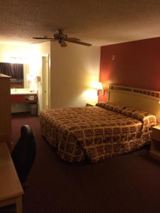 埃尔森特罗Value Inn & Suites的一间酒店客房 - 带一张床和一间浴室