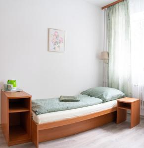 日利纳Ubytovanie SASINKOVA的一张位于带桌子和窗户的房间的床铺
