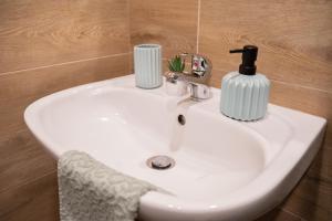 日利纳Ubytovanie SASINKOVA的白色浴室水槽和肥皂分配器