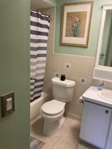 基西米Irises House - private room in home的一间带卫生间和水槽的浴室