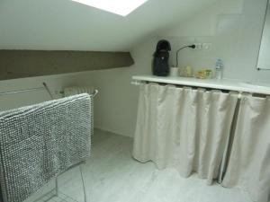 塔布Etage privatif的一间带水槽和淋浴帘的浴室