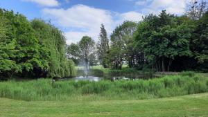 DescartesLa Gustine的树木和草地公园里的池塘