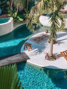 塞米亚克Beyond Bayou的一个带棕榈树和桌子的游泳池