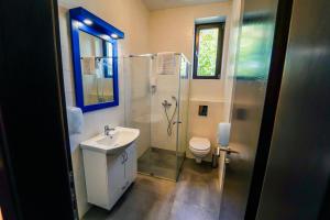 贝尔格莱德Bagrina Suites的带淋浴、盥洗盆和卫生间的浴室