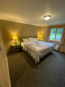 斯托北极光旅舍的一间卧室配有一张床、两盏灯和一个窗户。