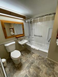 斯托北极光旅舍的浴室配有卫生间、淋浴和盥洗盆。