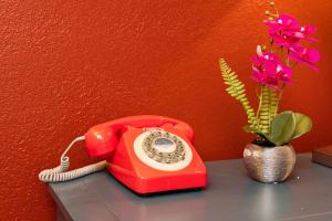 南旧金山阿美莉卡那汽车旅馆的红色的电话和花瓶,放在桌子上
