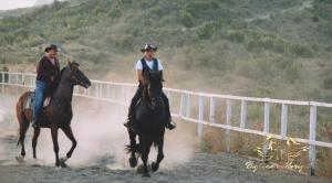斯库台Bujtina e Muriqit的两个人骑土路骑马