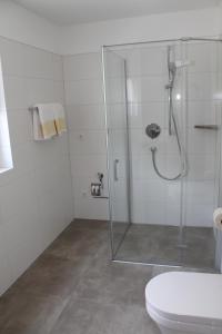纳图尔诺Garni Wiesenhof的一间带玻璃淋浴和卫生间的浴室