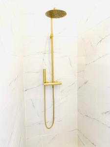 GavereRooms & Loft De Post的白色浴室内带金色淋浴头的淋浴