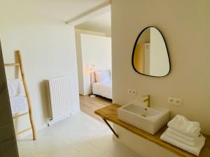 GavereRooms & Loft De Post的浴室设有水槽和墙上的镜子