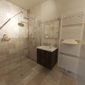 赫拉尔兹贝亨Holiday Apartment Al 't Sanna的一间带水槽和玻璃淋浴的浴室