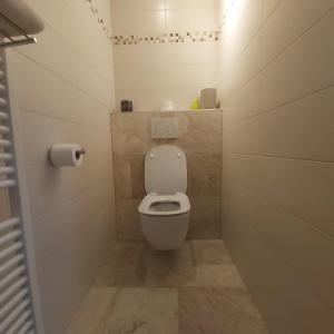赫拉尔兹贝亨Holiday Apartment Al 't Sanna的一间带卫生间和一卷卫生纸的小浴室