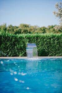 乌尔齐尼狮子酒店的游泳池中央的喷泉