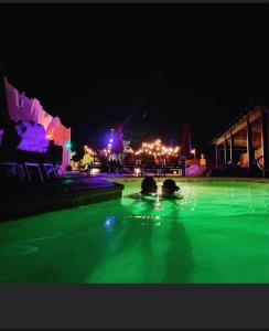 沙漠温泉MI KASA HOT SPRINGS 420,Adults Only, Clothing Optional的几个晚上在游泳池游泳的人