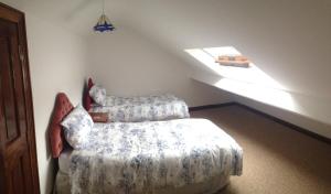 卡斯尔布莱尼怀特山住宿加早餐旅馆的一间卧室设有两张床和一个倾斜的天花板
