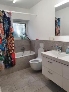 苏黎世Viktoria Budget Hostel的浴室设有卫生间、水槽和淋浴帘