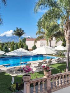 阿吉吉克渔夫酒店的一个带游泳池、遮阳伞和棕榈树的度假村