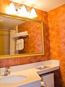 东斯特劳兹堡东斯特劳斯堡 - 波科诺斯品质酒店的一间带水槽和镜子的浴室