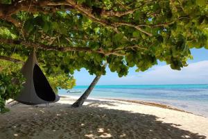 莫雷阿Villa Meheana的海滩上树下的吊床